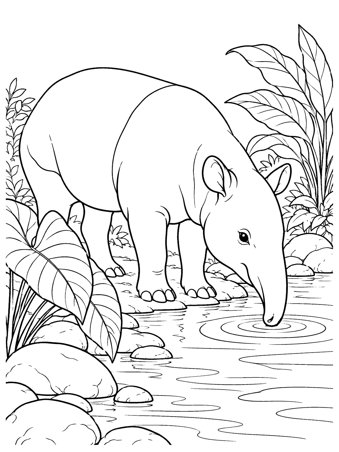 A black-and-white coloring page showing a Malayan tapir at the edge of a forest stream, with its trunk touching the water among ripples, stones, and large plants.