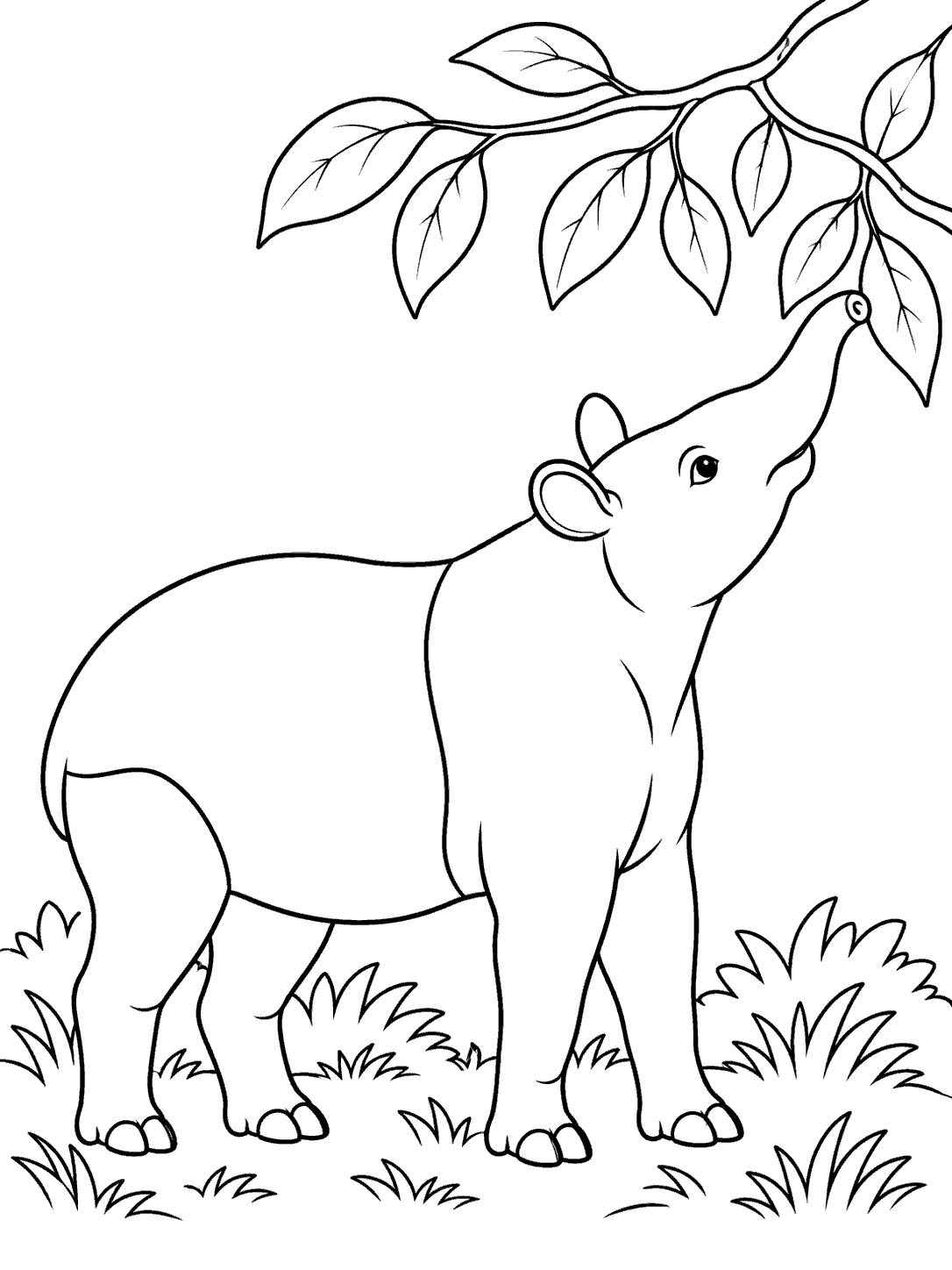 A tapir reaching toward leaves on an overhead branch