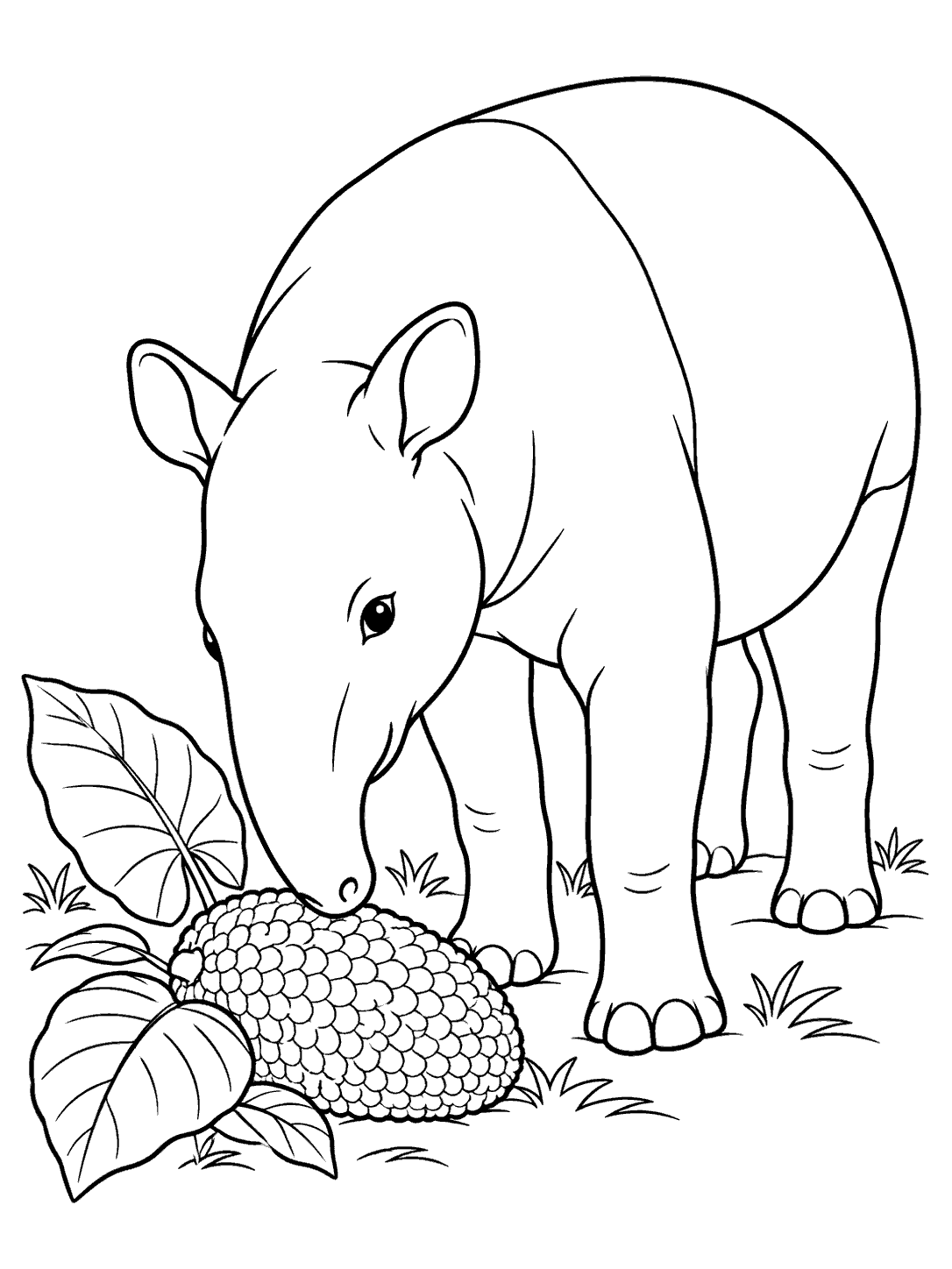 Malayan tapir investigating a large tropical fruit among broad leaves