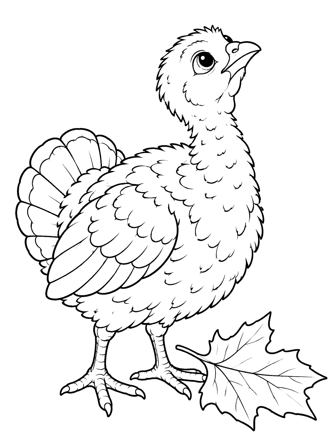 A fluffy young turkey looking upward beside a large fallen leaf.