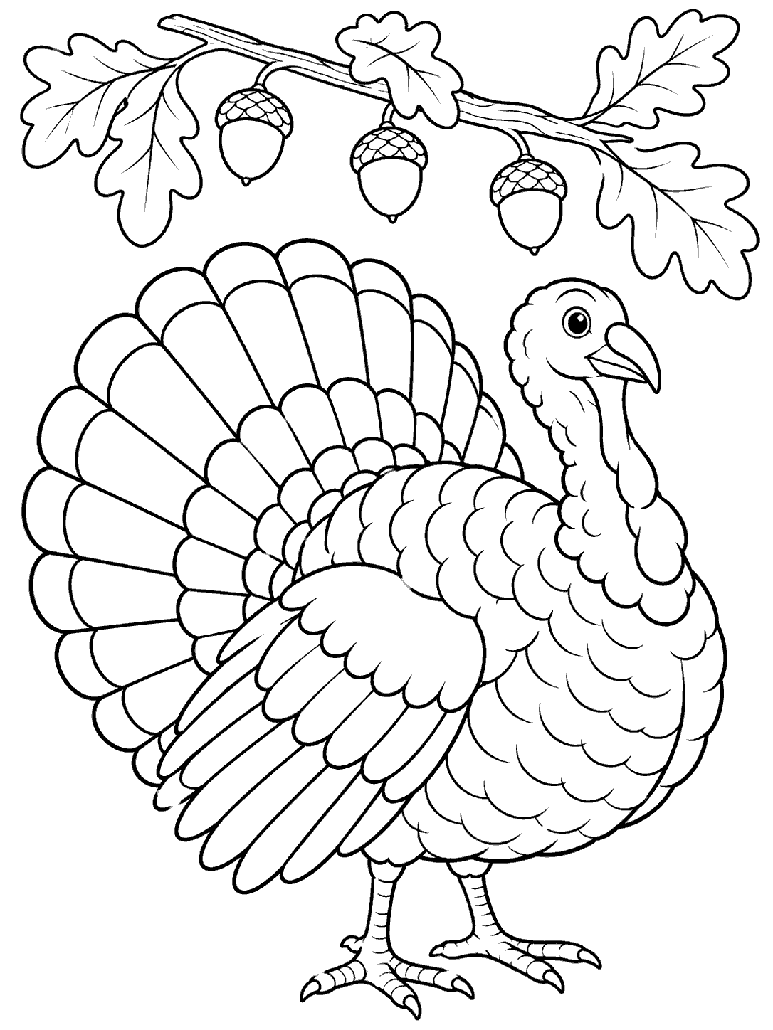 A large turkey with a fanned tail stands below an oak branch bearing three acorns and broad leaves.