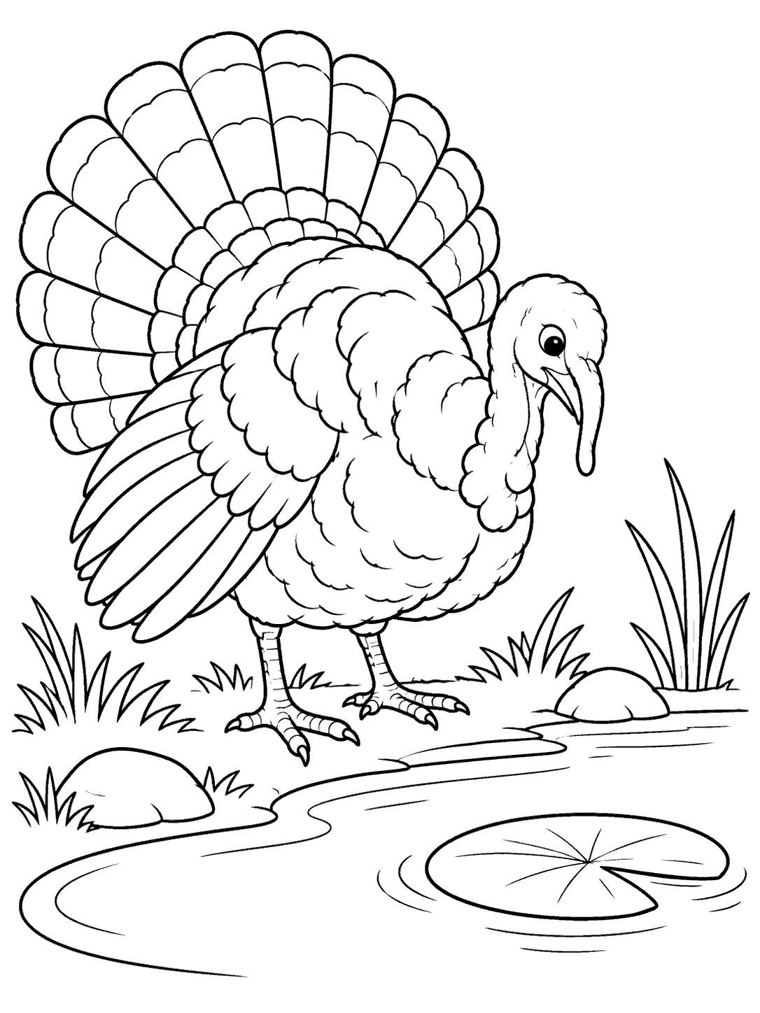 A large, fully feathered turkey stands beside a mostly blank pond, facing a single lily pad. Grass and a few pond-edge lines complete the scene.