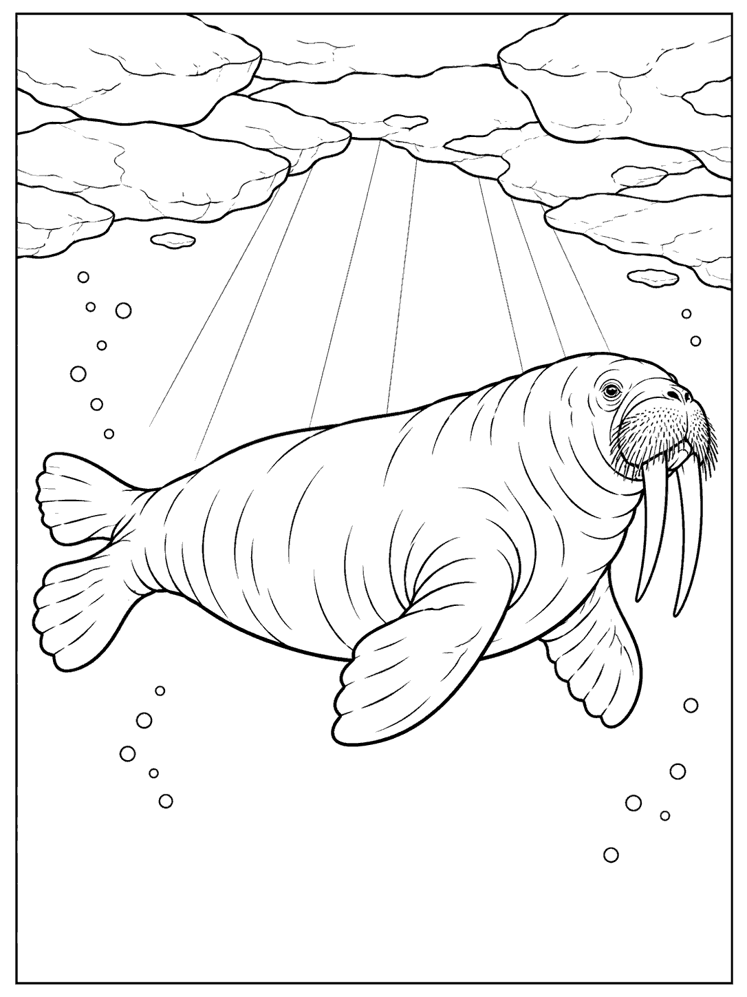 A full-bodied walrus with long tusks and broad flippers swims through open water beneath Arctic sea ice, with bubbles and outlined rays of light.