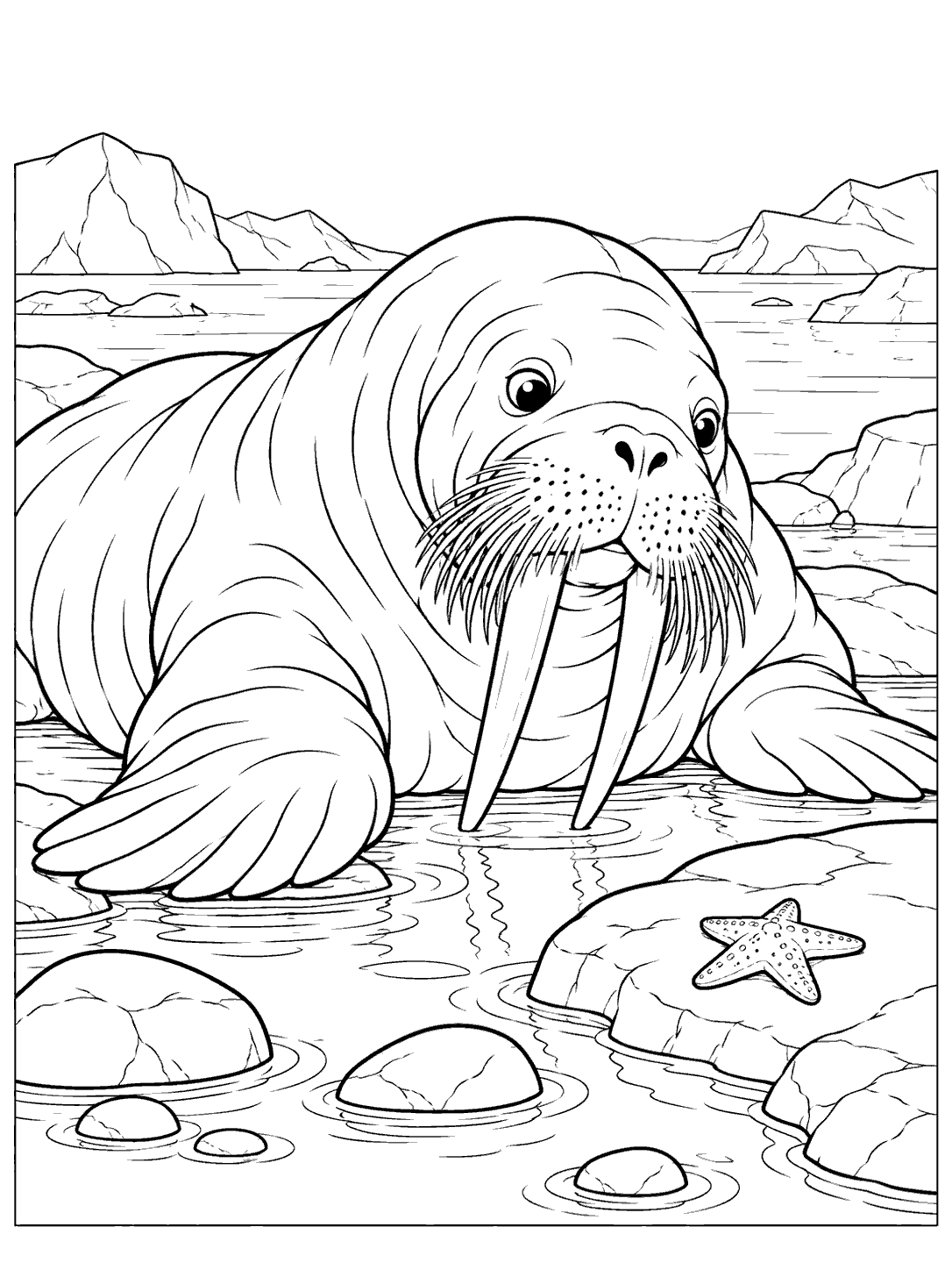 A large walrus with long tusks and whiskers rests in a shallow tide pool, facing a small starfish on a nearby rock.