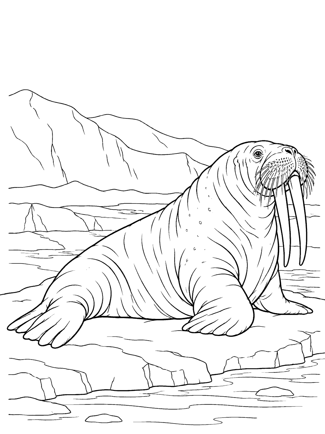 A full-bodied walrus with long tusks and whiskers resting on a snowy shelf, with a simple Arctic ridge behind it.