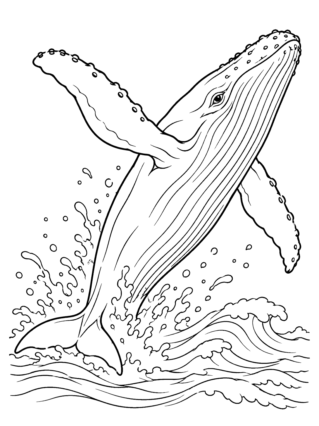 Whale coloring page showing a breaching humpback whale above waves