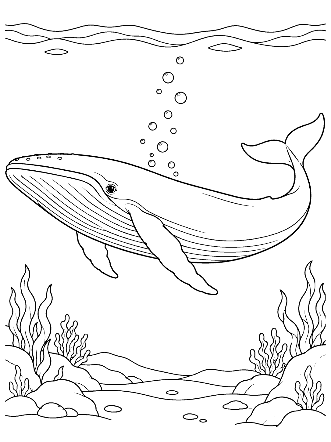 Blue whale coloring page showing a whale swimming above a rocky seabed with bubbles and sea plants.
