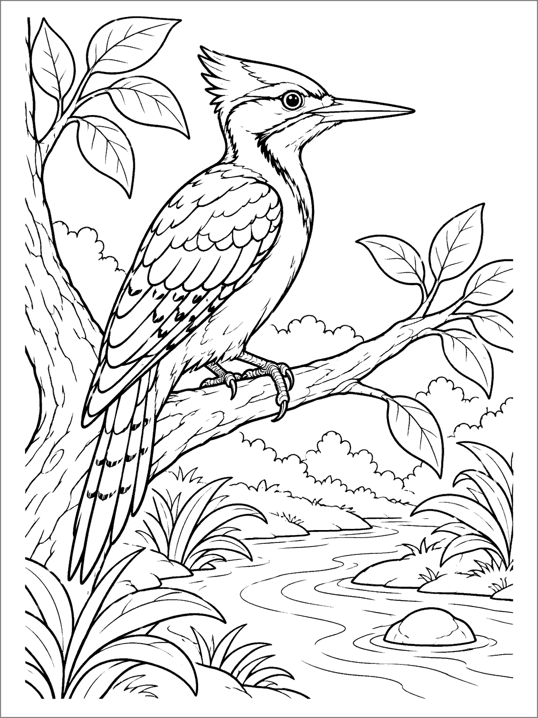 Black-and-white woodpecker perched on a branch above a winding stream, surrounded by broad plants and a rounded stone.